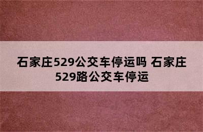 石家庄529公交车停运吗 石家庄529路公交车停运